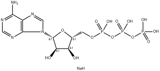 HPLC&gt;99% 리보뉴클리오타이드 ATP 100 밀리미터 솔루션 CAS 987-65-5
