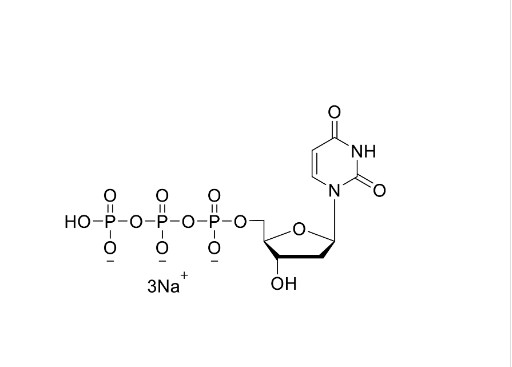 DUTP 디옥시뉴클레오티드 2'-디옥시유리딘-5'-트리포스파트 나트륨 염분 용액