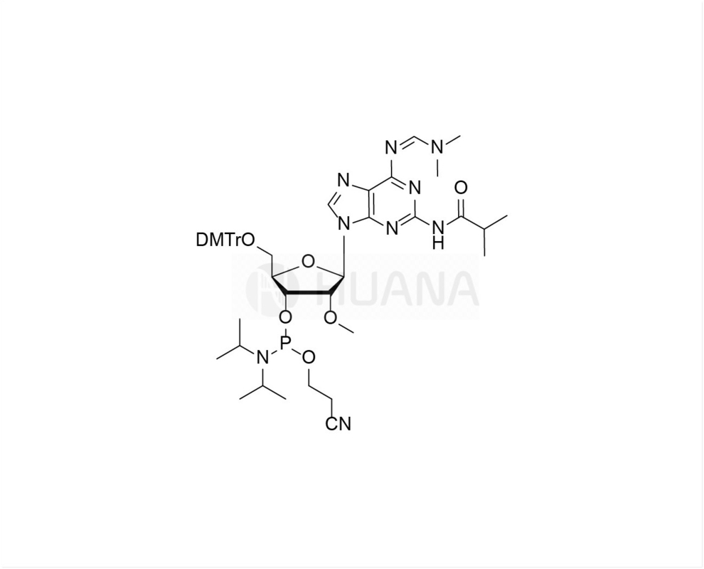DMTr-2'-O-Me-N2-iBu-N6-dmf- 2-아미도-rA-3'-CE-포스포라미디트
