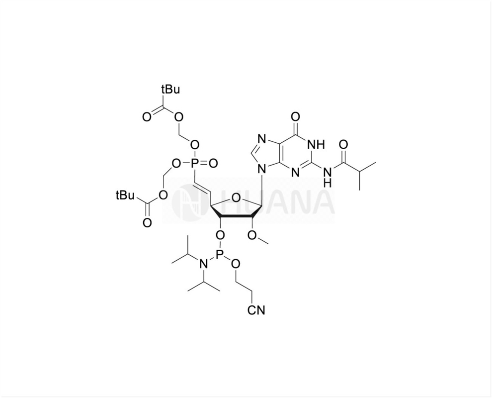 5'-POM-(E) -비닐포스포네이트-2'-O-Me-rG ((iBu)-3'-CE-포스포라미디트