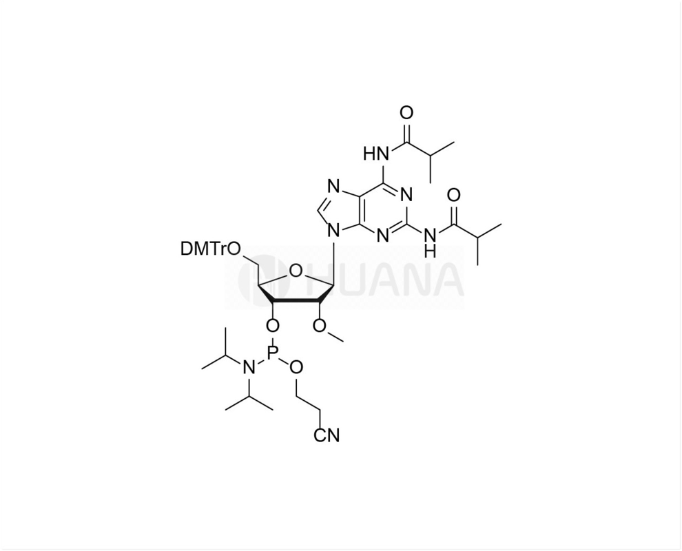 DMTr-2'-O-Me-N2,N6-Diibu-2-amido-rA-3'-CE-포스포라미다이트